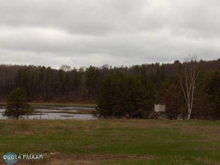 Motley, MN 56466,34049 HIGHWAY 10