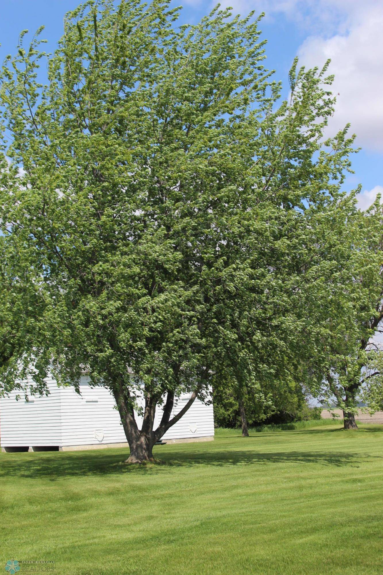 Casselton, ND 58012,15461 33 ST SE