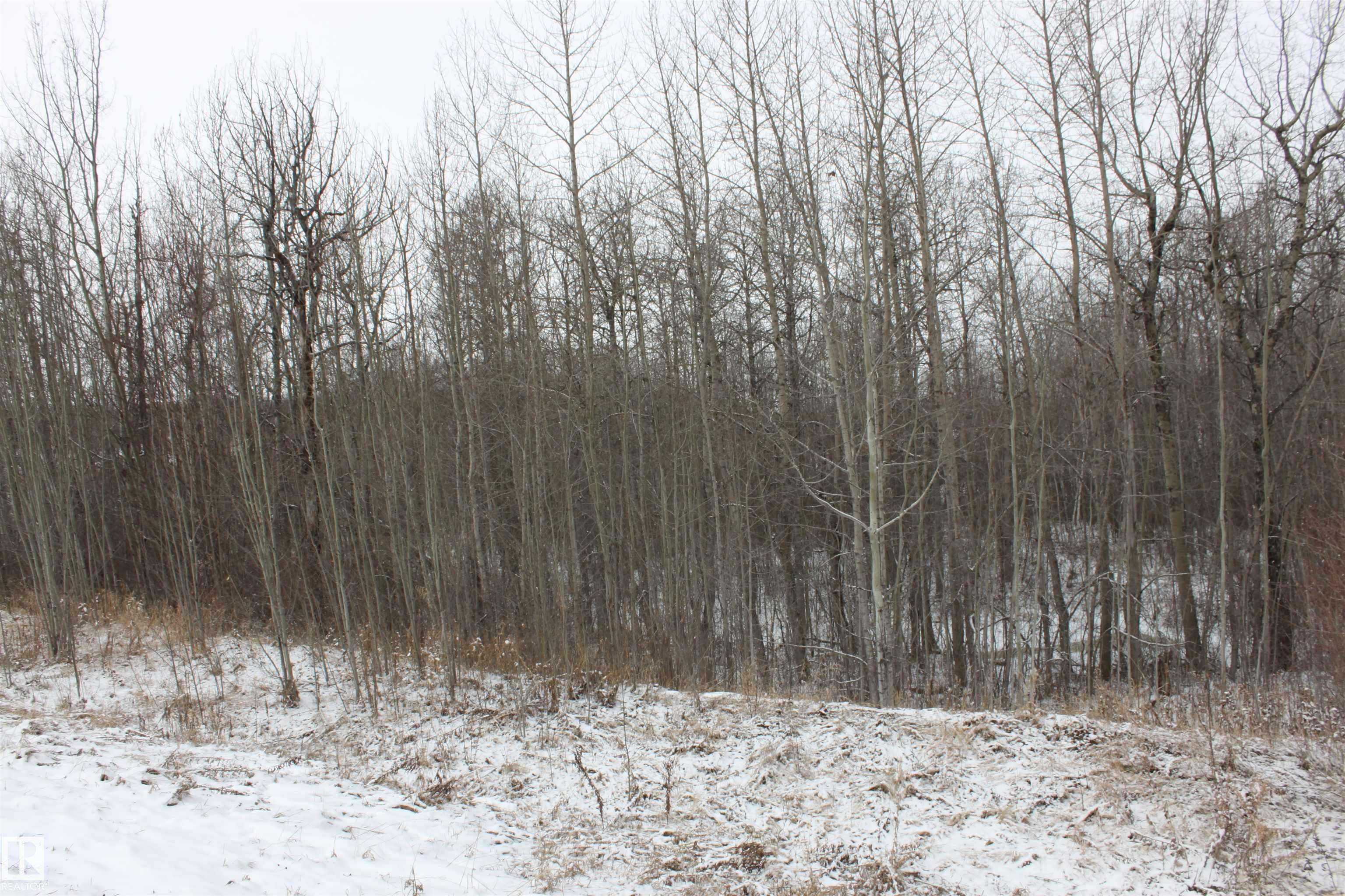 Rural Lac Ste. Anne County, AB T0E 1V0,#12 54419 RGE RD 14