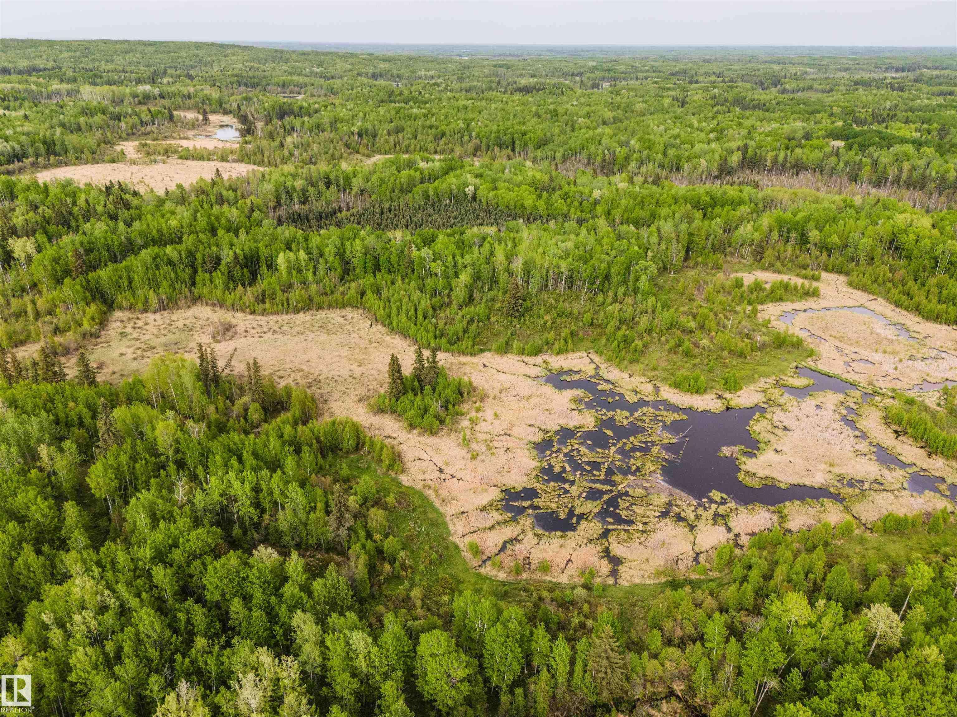 Rural Parkland County, X0X 0X0,6332 TWP RD 544 A