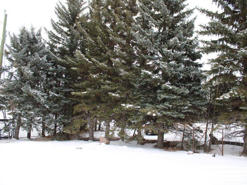 Rural Leduc County, AB T4X 0P5,#115 50512 RGE ROAD 245