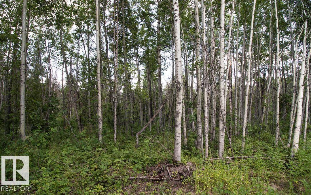 Rural Lac Ste. Anne County, AB T0E 0L0,#133 5519 TWP RD 550