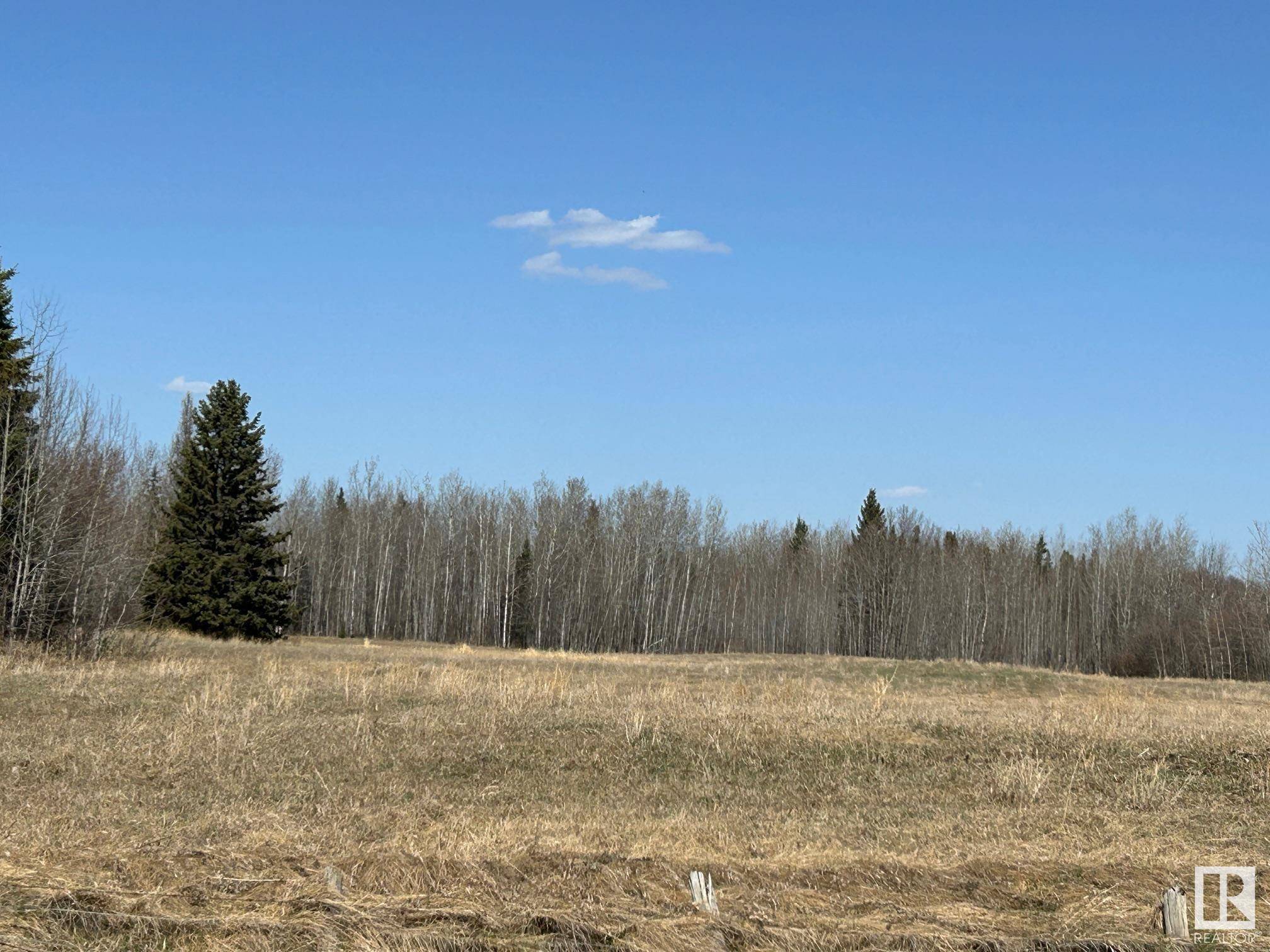 Rural Thorhild County, AB T0A 3J0,RR 225 Twp Rd 612