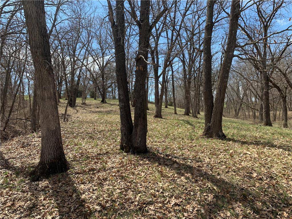 Altamont, MO 64620,Lot 1622 Lake Viking TER