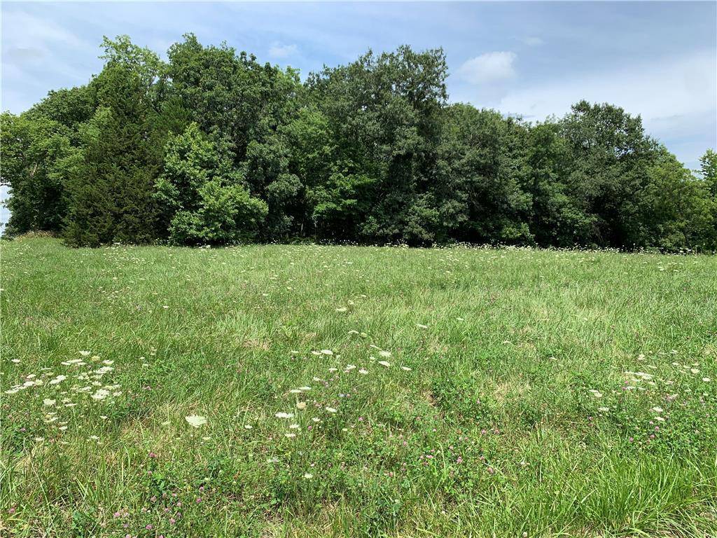 Altamont, MO 64620,Lot 1555 Lake Viking TER