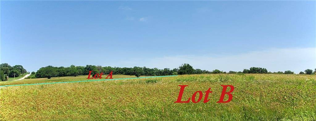 Freeman, MO 64746,TBD Lot B E 267th ST