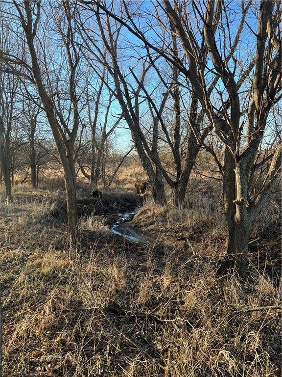 Louisburg, KS 66053,255th W ROCKVILLE RD