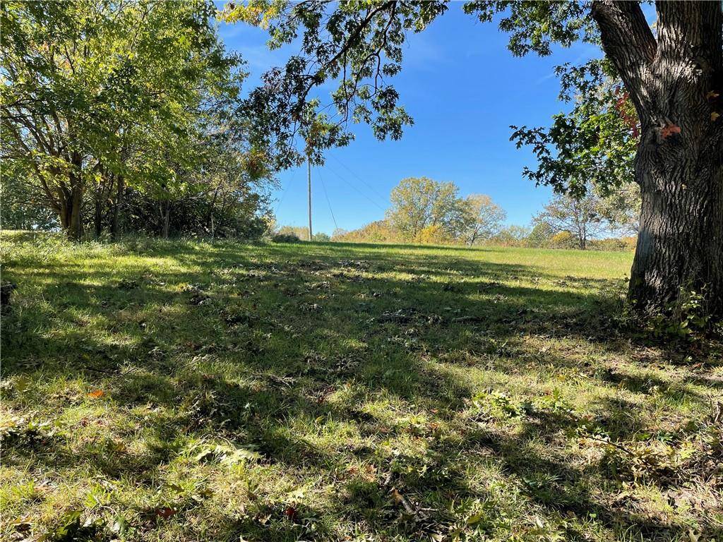 Altamont, MO 64620,Lot 1631 & 1632 Goose CT