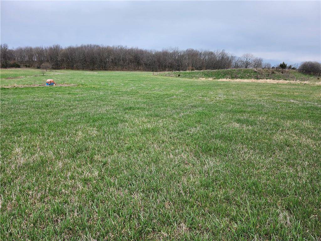 Osawatomie, KS 66064,W 367th ST