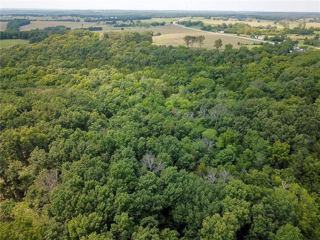 Cross Timbers, MO 65634,000 US Hwy 65 N/A