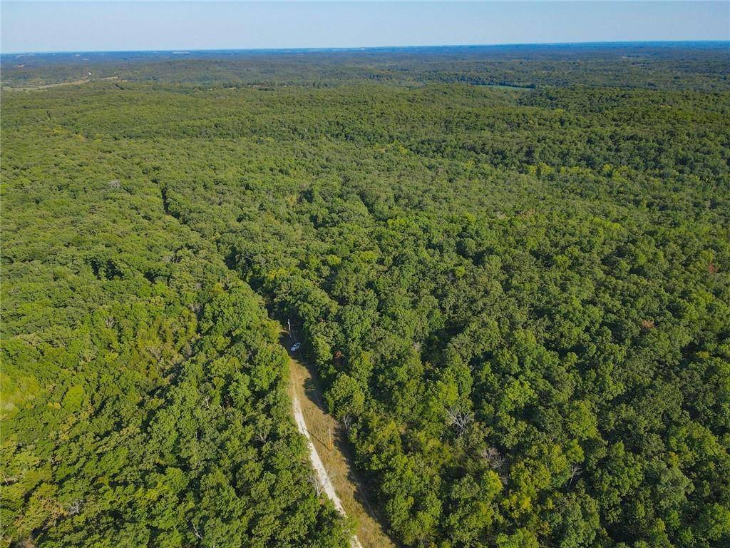 Wheatland, MO 65779,TBD County Road 64 N/A