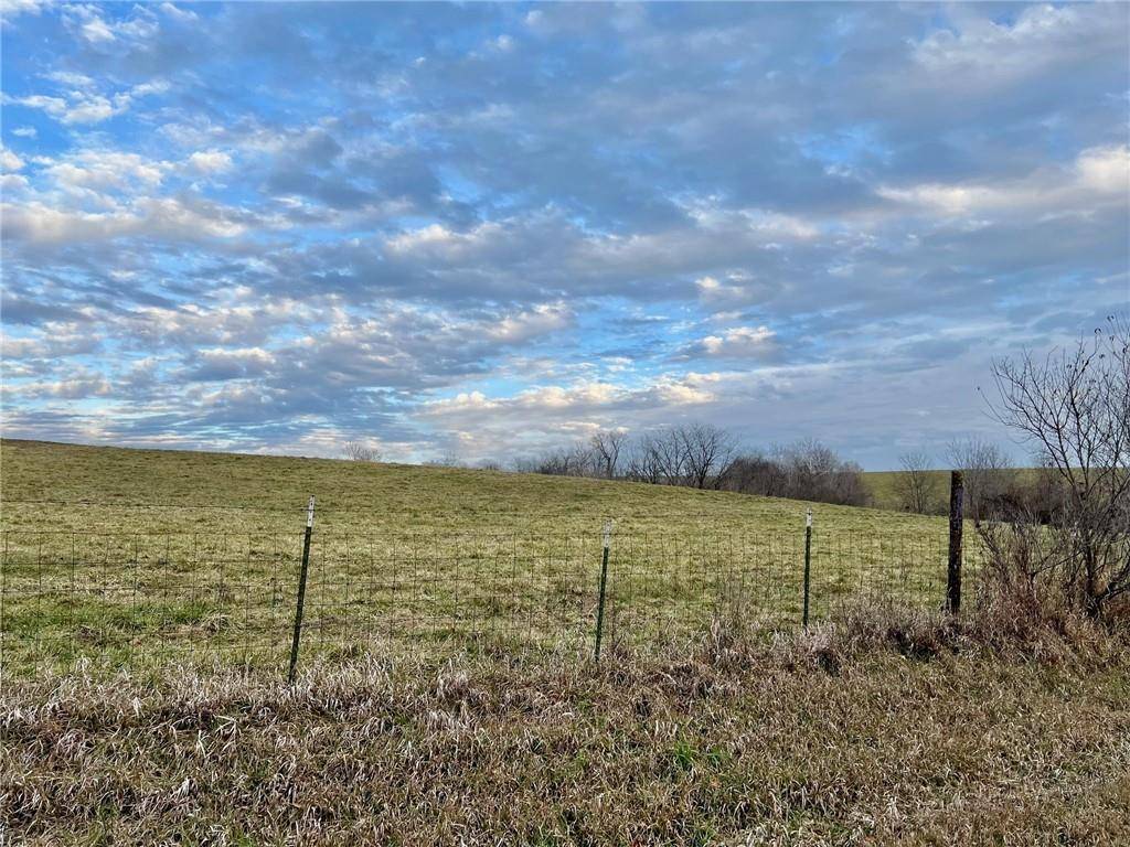 Orrick, MO 64077,Triple Springs RD