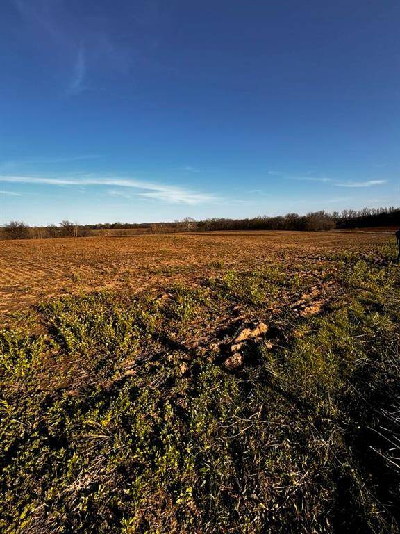 Lowry City, MO 64763,32 +/- NE 800 RD
