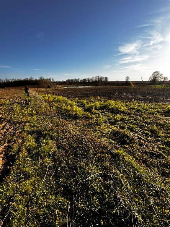 Lowry City, MO 64763,32 +/- NE 800 RD