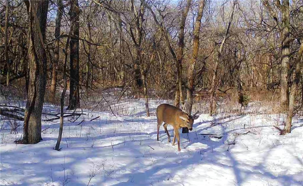 Melvern, KS 66510,32019 S Shawnee Heights RD