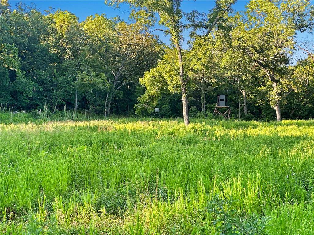 Edwards, MO 65326,Twin Logs LN