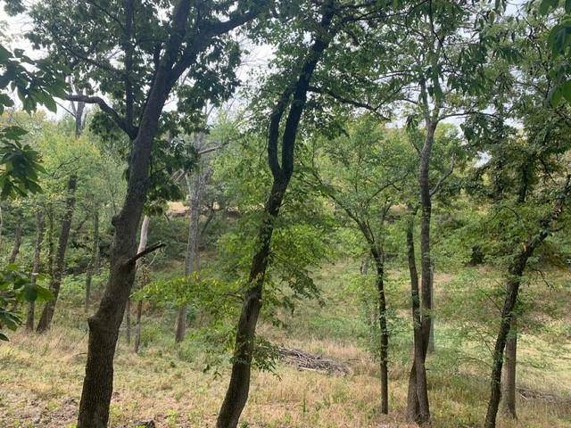 Loch Lloyd, MO 64012,17017 Millcreek RD