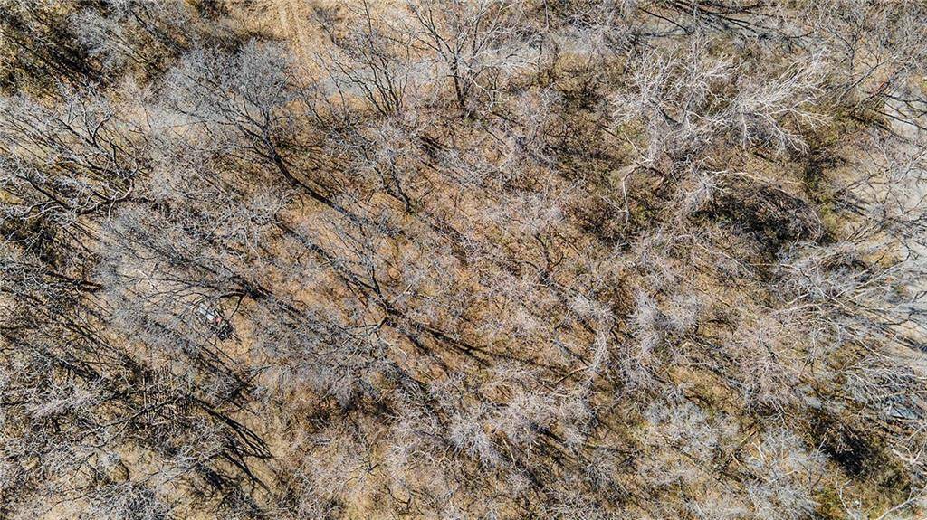 Independence, MO 64053,9101 E Norledge AVE