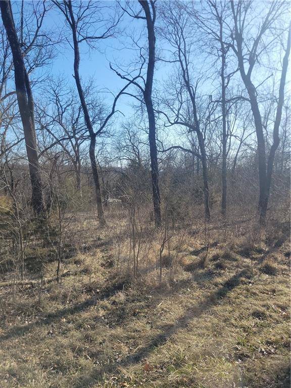 Linn Valley, KS 66040,98 Maple DR