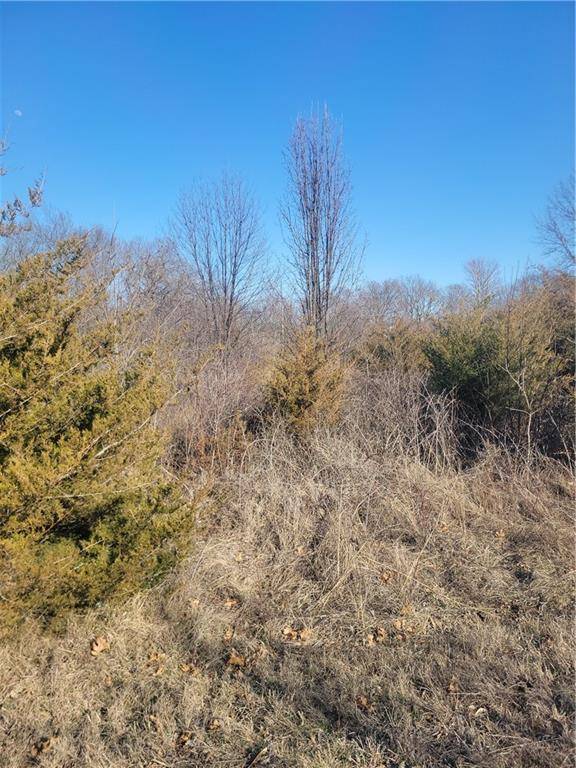 Linn Valley, KS 66040,273 Sycamore DR