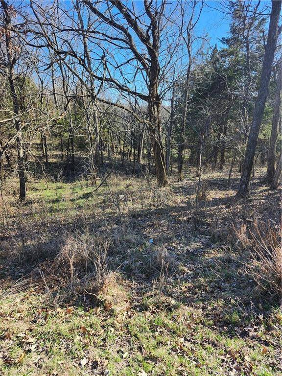 Linn Valley, KS 66040,86 Maple DR
