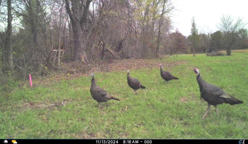 Kingsville, MO 64061,1829 NW 450th RD