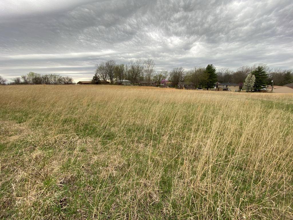 Excelsior Springs, MO 64024,Raymore ST