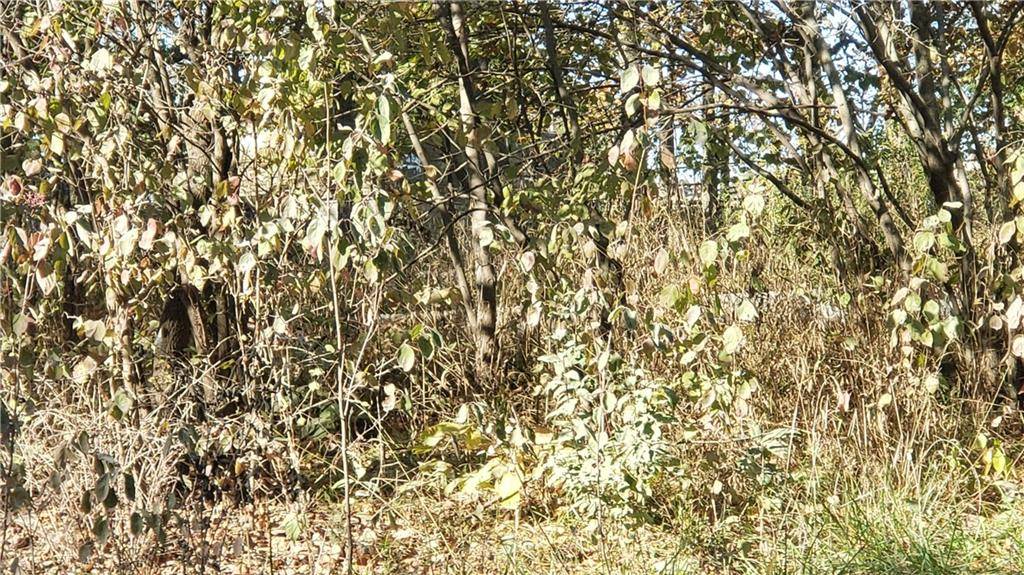Odessa, MO 64076,Lakeshore DR