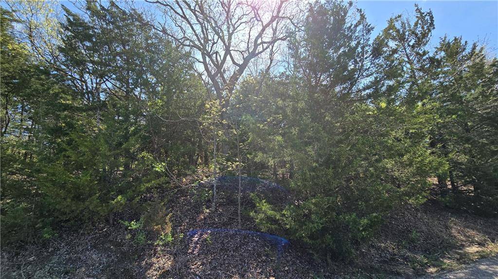 Mapleton, KS 66754,8 E Lakeview RD