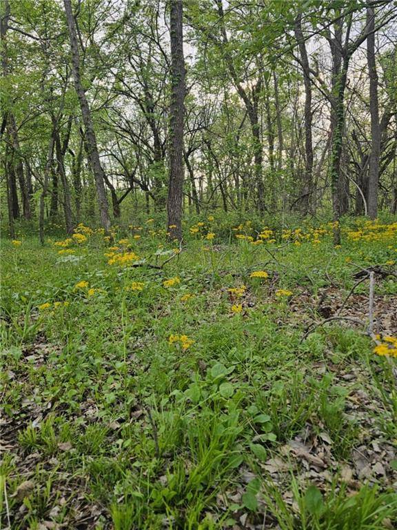 Mound City, KS 66055,305 & 309 E Sugar Lake DR