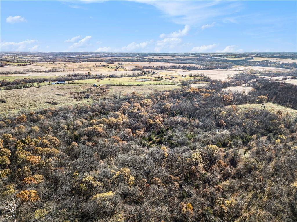 Gower, MO 64454,11009 Tract 1 SE DD HWY