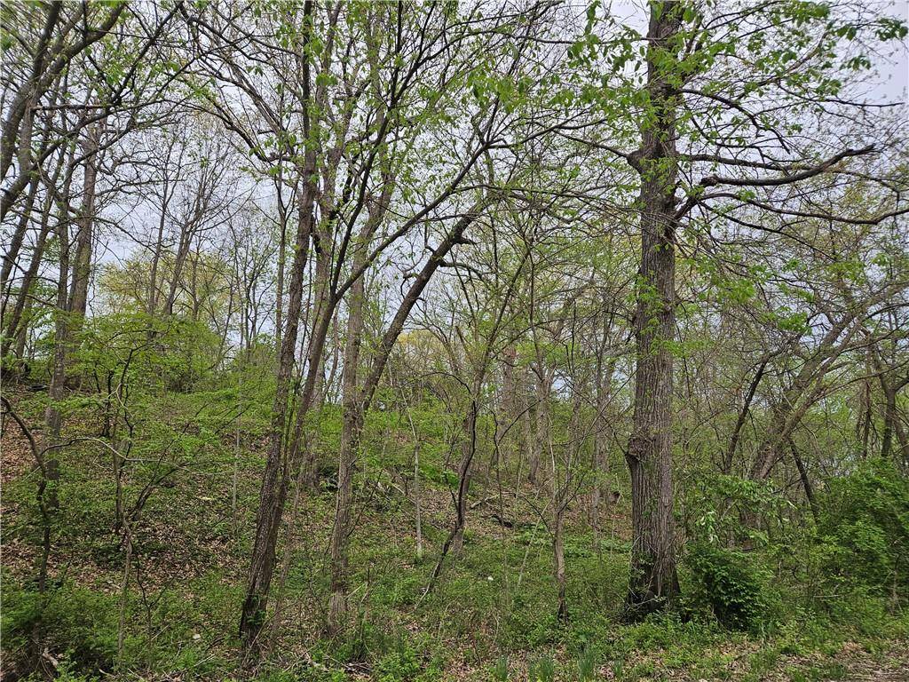 Oak Grove, MO 64075,Lot 73 - 76 Green Forest WAY