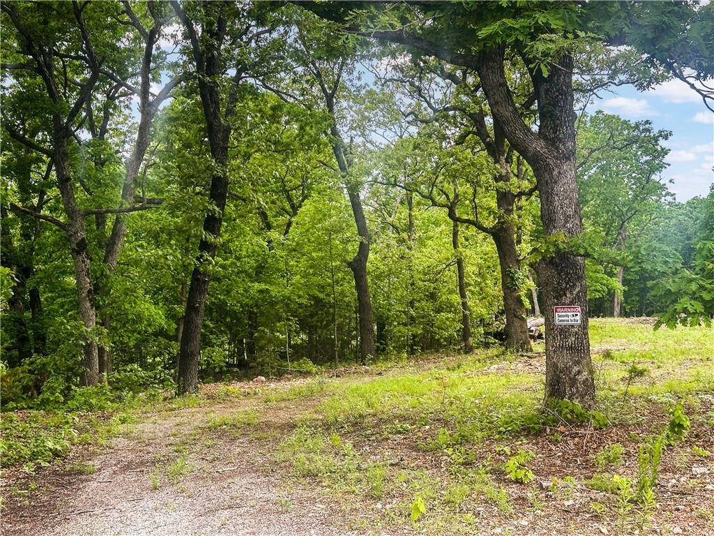 Warsaw, MO 65355,24336 BB HWY