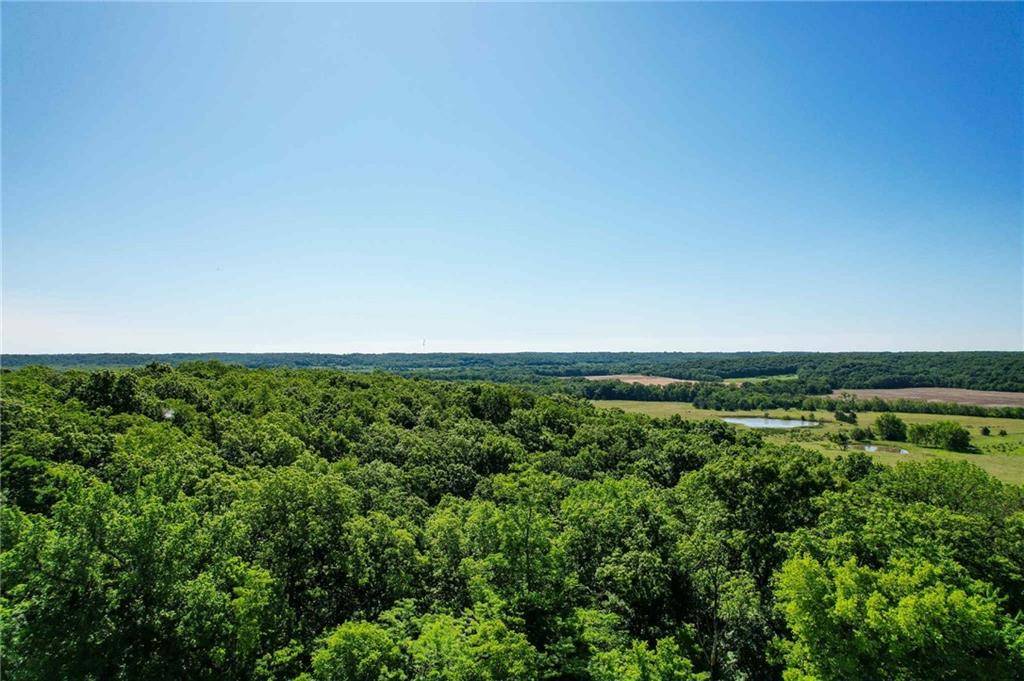 Mound City, KS 66056,00000 Orahood RD