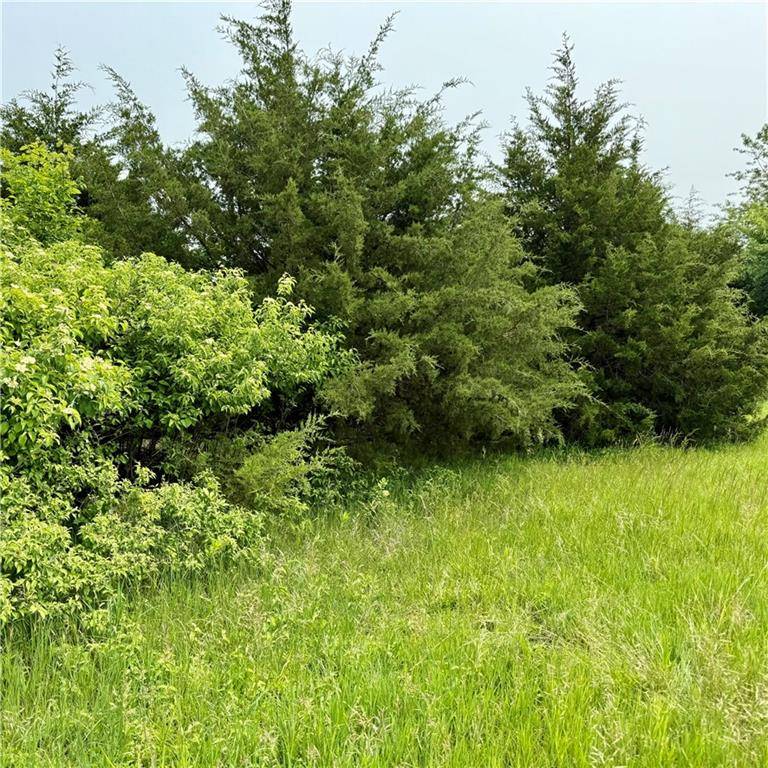 Linn Valley, KS 66040,81 Newberry DR