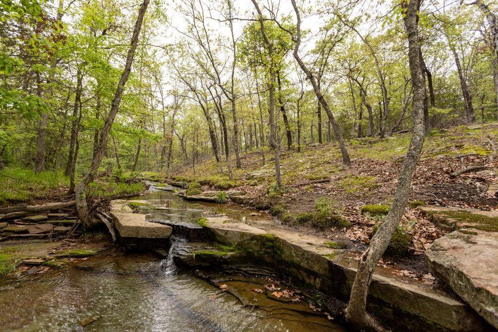 El Dorado Springs, MO 64744,0000 2650 RD