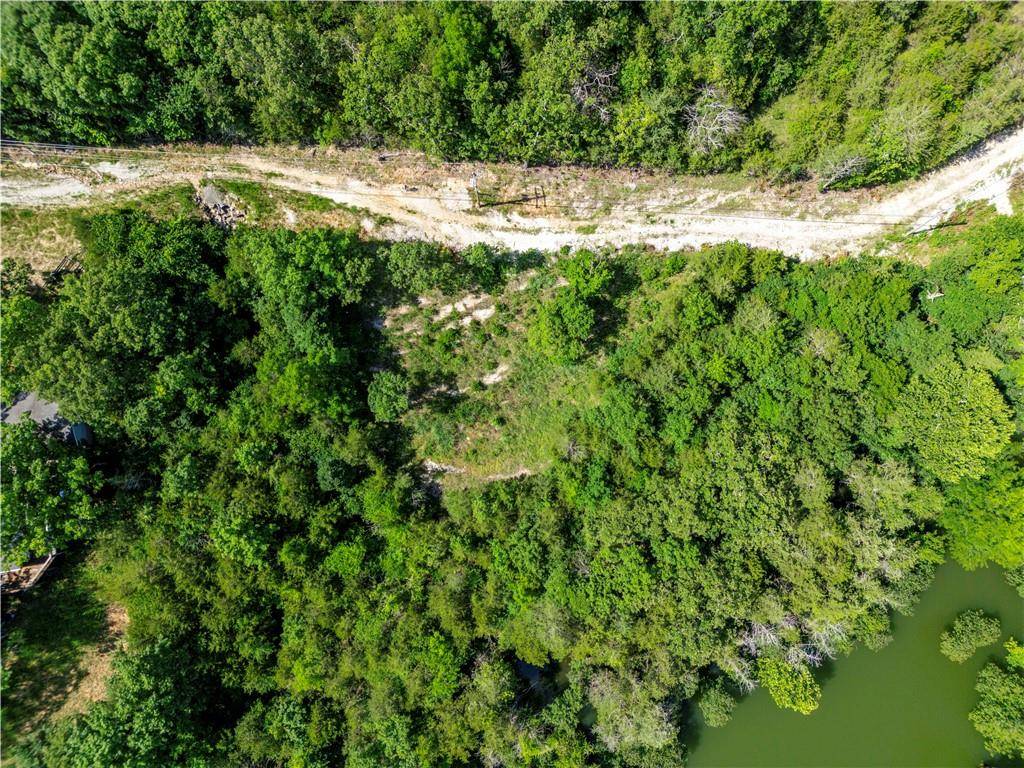 Other, MO 65737,11 Turtle Cove LN