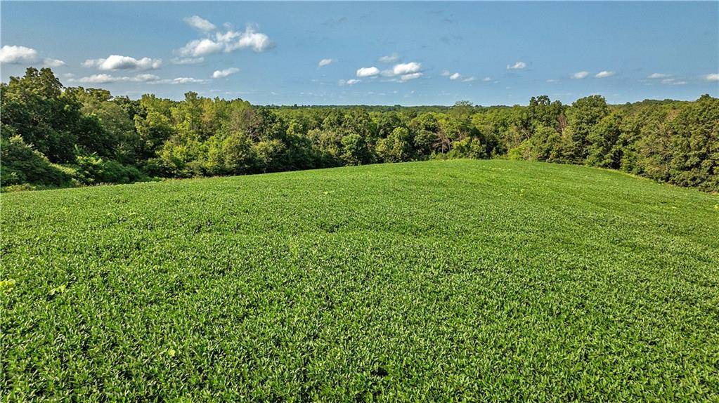 Coffey, MO 64636,B HWY