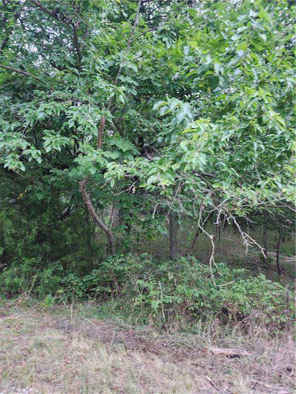 Linn Valley, KS 66040,2 & 6 Shady LN