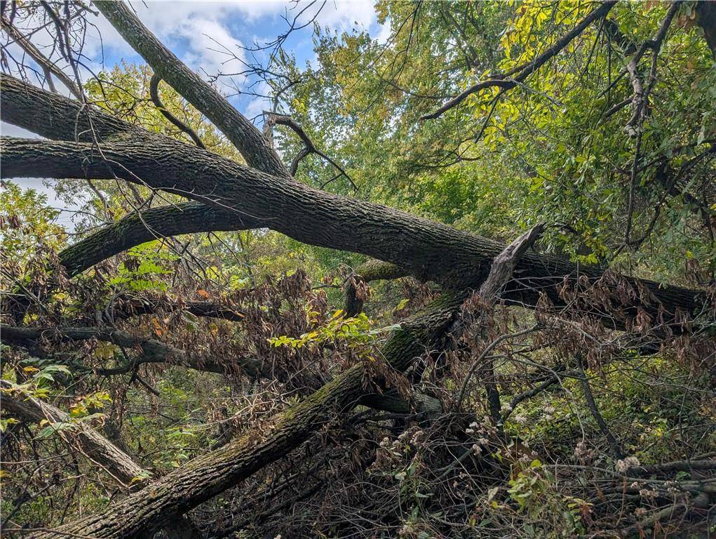 Ridgeway, MO 64481,E 280th ST