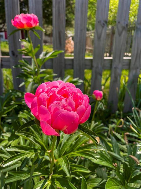 Kansas City, MO 64114,7729 Madison AVE