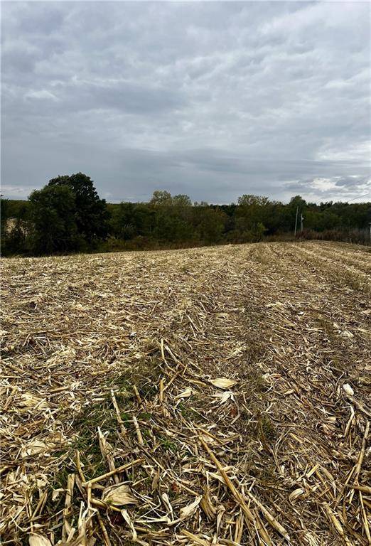 Amazonia, MO 64421,Tract 1 Country Road 422 RD