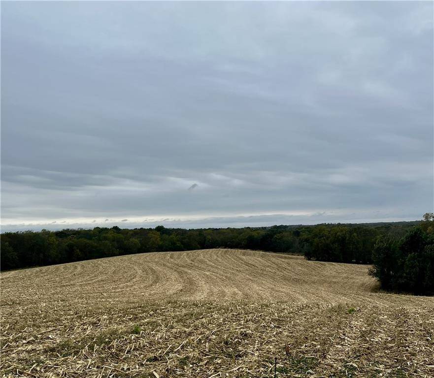 Amazonia, MO 64421,Tract 2 County Road 422 RD