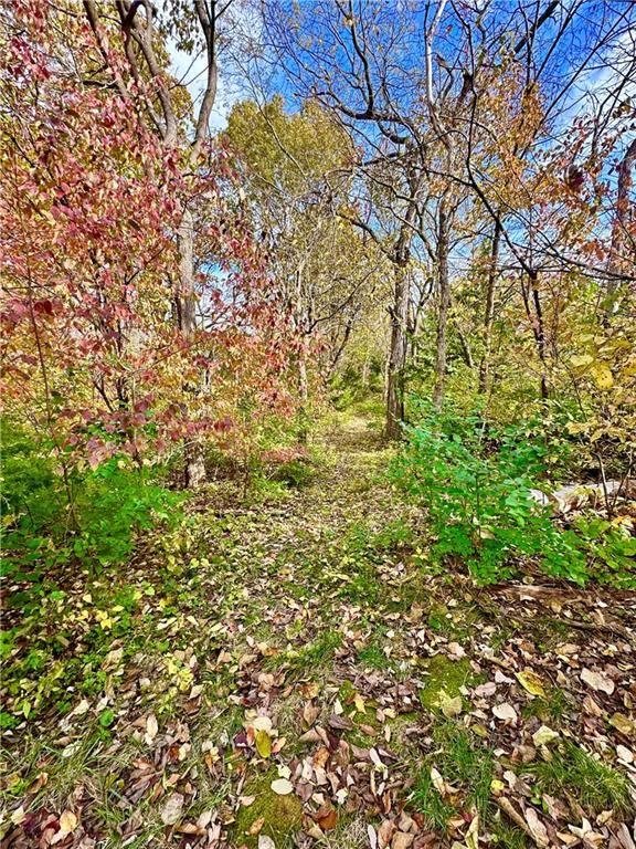 Kansas City, KS 66109,4209 N 113th CT