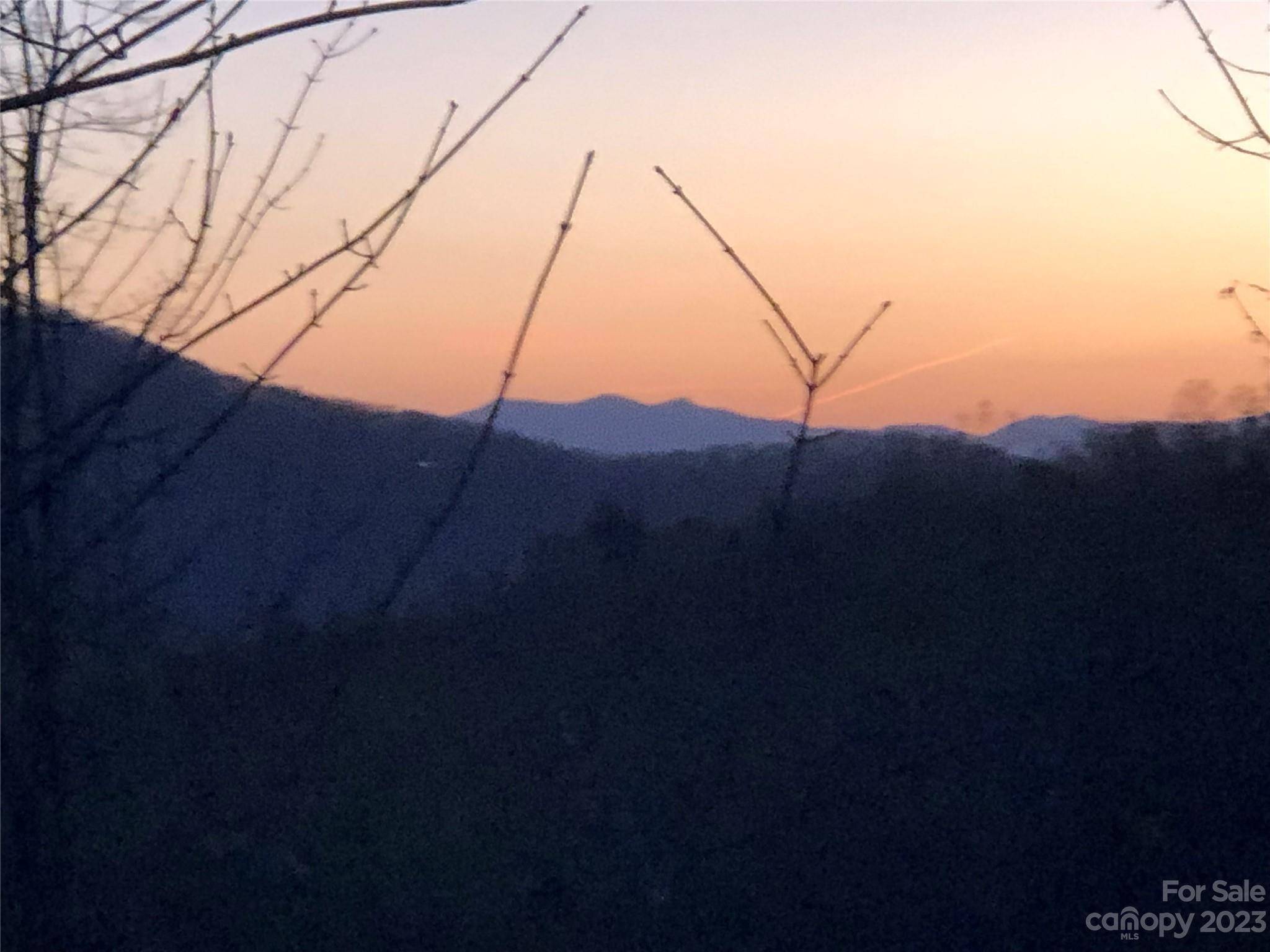 Fairview, NC 28730,10 Clear Fork LN #530