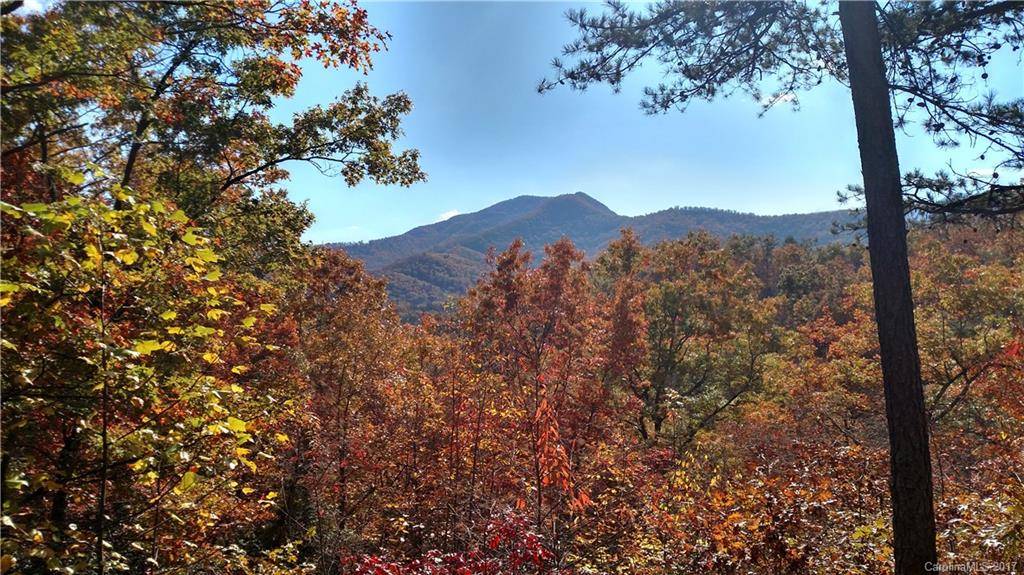 Cullowhee, NC 28723,Lot #41 S Country Club DR #41