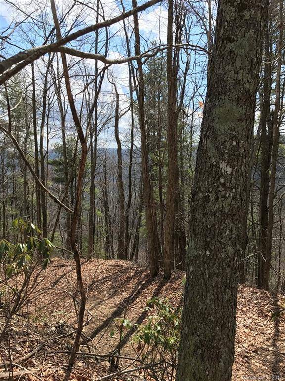 Whittier, NC 28789,Lot 1 Sec 10 Julalbo RD #Lot 1