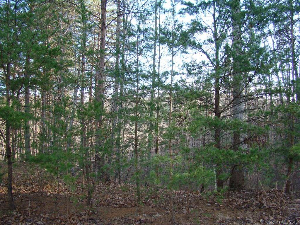 Bostic, NC 28018,17 Grouse Ridge DR