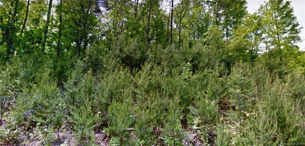 Woodfin, NC 28804,67 Windstone DR #56