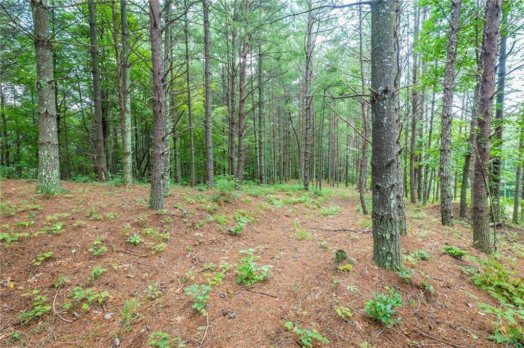 Nebo, NC 28761,9587 Shortoff View TER #Lot#57